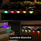 Lampes solaires autocollantes