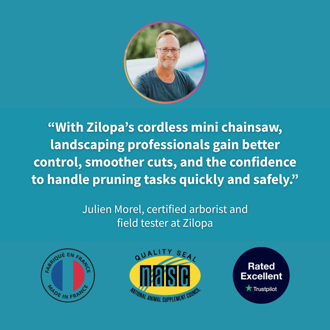 Cordless Mini Chainsaw